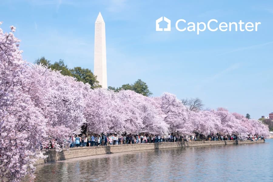 A view of the Cherry Blossoms over the Potomac River from Northern Virginia.